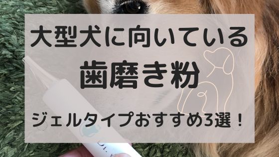 大型犬に向いている歯磨き粉〜ジェルタイプおすすめ3選！